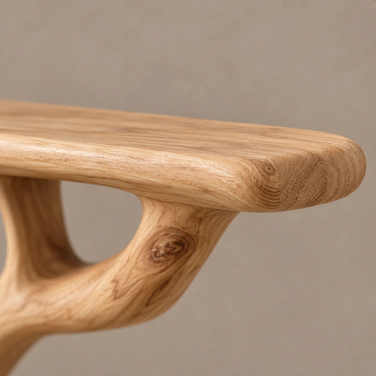 Artisan Tree Bookshelf With Sculpted Branch Shelves For Living Room