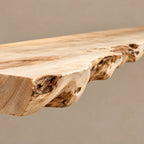 Artisan Tree Bookshelf With Live Edge Slab Shelves For Living Room