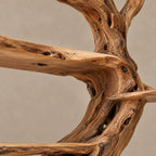 Artisan Tree Bookshelf With Live Edge Slab Shelves For Living Room