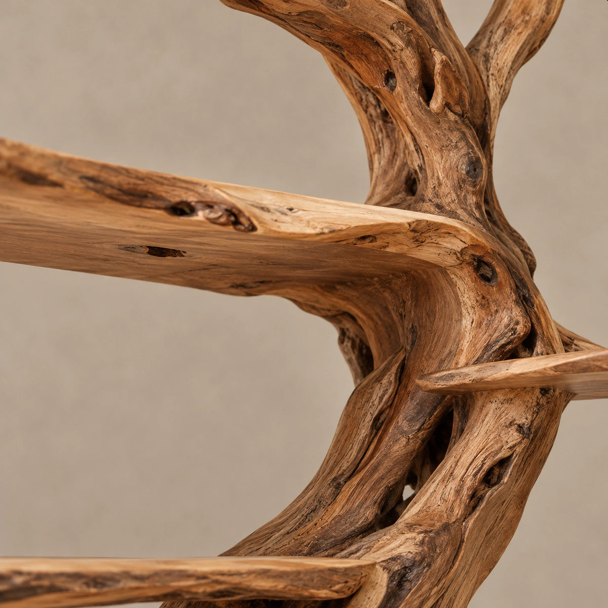 Artisan Tree Bookshelf With Live Edge Slab Shelves For Living Room