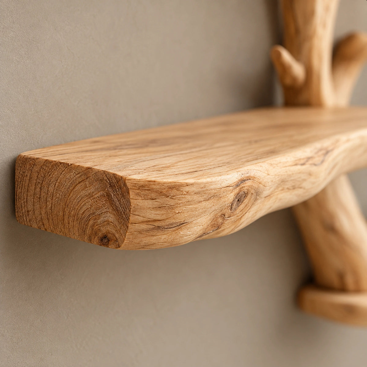 Rustic Tree Branch Wall Shelf With Antler Forks For Living Room