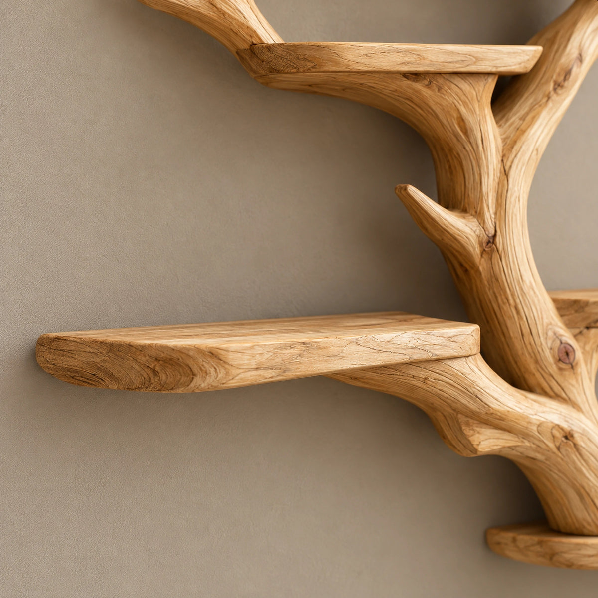 Rustic Tree Branch Wall Shelf With Antler Forks For Living Room