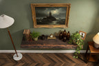 Solid Wood Wall Shelf Floating Live-Edge Dark Grain Ledge for Living Room
