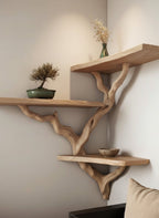Solid Wood Live-Edge Floating Wall Shelf with Branch Bracket for Bonsai Display