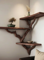 Solid Wood Live-Edge Floating Wall Shelf with Branch Bracket for Bonsai Display