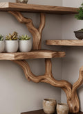 Solid Wood Live-Edge Branch Wall Shelf with Tiered Slabs for Plant Display
