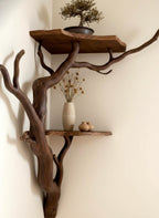 Solid Wood Driftwood Branch Wall Shelf with Live-Edge Slab for Entryway