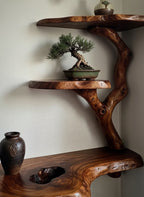 Solid Wood Live-Edge Branch Wall Shelf with Tiered Ledges for Bonsai Display