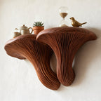 Solid Wood Live-Edge Wall Shelf with Fanned Grain Sculptural Form for Modern Decor