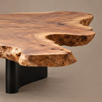 Contemporary Live Edge Coffee Table With Freeform Slab Top For Living Room