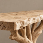 Modern Tree Root Console Table With Flat Cut Top For Hallway