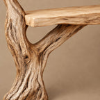 Natural Tree Trunk Console Table With Climbing Branches For Entryway