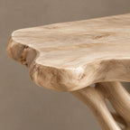 Nature Inspired Branch Console Table With Open Base For Entryway