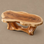 Organic Driftwood Coffee Table With Sculpted Root Base For Living Room