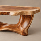 Organic Driftwood Coffee Table With Sculpted Root Base For Living Room