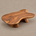 Organic Cloud Shape Coffee Table With Twin Pedestals For Living Room