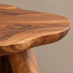 Organic Cloud Shape Coffee Table With Twin Pedestals For Living Room