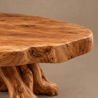 Handcrafted Live Edge Coffee Table With Peanut Shaped Top For Living Room