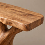 Rustic Tree Root Console Table With Branching Base For Living Room