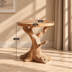 Tree Trunk End Table with Round Top, Natural Branch Solid Wood Side Table for Living Room