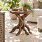 Driftwood End Table with Round Top, Twisted Branch Leg Solid Wood Side Table for Living Room and Patio