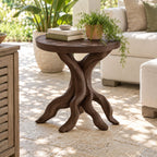 Driftwood End Table with Round Top, Twisted Branch Leg Solid Wood Side Table for Living Room and Patio