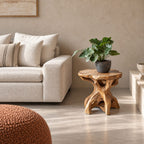Driftwood Root End Table with Freeform Round Top, Natural Teak Root Style Solid Wood Side Table
