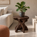 Driftwood Root End Table with Freeform Round Top, Natural Teak Root Style Solid Wood Side Table