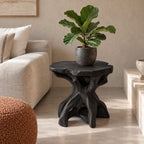 Driftwood Root End Table with Freeform Round Top, Natural Teak Root Style Solid Wood Side Table
