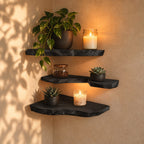 Rounded Live Edge Corner Shelf, Thick Solid Wood Floating Corner Shelf with Soft Bark Rim for Cozy Nooks