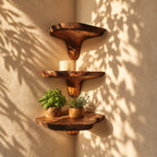 Funnel Stem Corner Mushroom Shelf, Live Edge Solid Wood Floating Corner Shelf for Kitchen Nook and Hallway