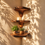 Funnel Stem Corner Mushroom Shelf, Live Edge Solid Wood Floating Corner Shelf for Kitchen Nook and Hallway