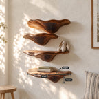 Gill Carved Mushroom Wall Shelves, Solid Wood Floating Shelves with Fanned Underside for Living Room