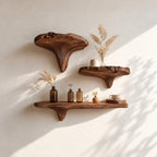 Mushroom Floating Shelf, Rustic Live Edge Solid Wood Wall Shelf with Sculpted Mushroom Cap and Brackets