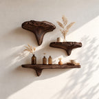 Mushroom Floating Shelf, Rustic Live Edge Solid Wood Wall Shelf with Sculpted Mushroom Cap and Brackets
