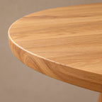 Modern Oval Dining Table With Twin Cylinder Pedestals For Dining Room