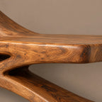 Sculptural Tree Branch Wood TV Stand With Shelving For Living Room