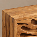 Coastal Carved Wood TV Cabinet With Organic Door Panels For Bedroom