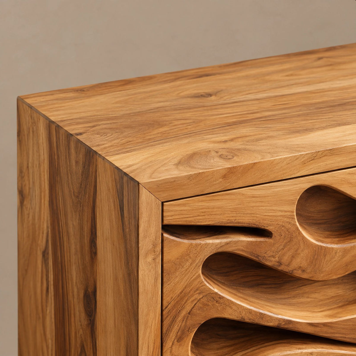 Coastal Carved Wood TV Cabinet With Organic Door Panels For Bedroom