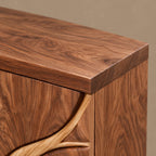 Artisan Tree Carved Cabinet With Curved Bracket Legs For Foyer