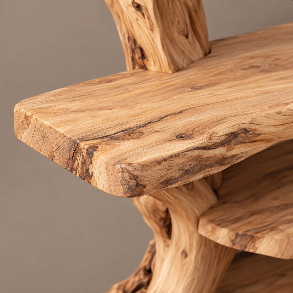 Sculptural Branch Frame TV Console With Display Shelves For Living Room