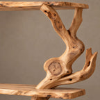 Sculptural Branch Frame TV Console With Display Shelves For Living Room