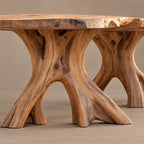 Mid Century Live Edge Dining Table With Sculptural Root Base For Dining Room