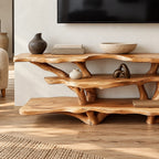 Sculptural Tree Branch TV Console With Open Shelf For Living Room