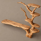 Rustic Tree Branch Bookshelf TV Stand For Living Room