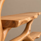 Contemporary Wall Tree Bookshelf With Wide Branch Span For Living Room