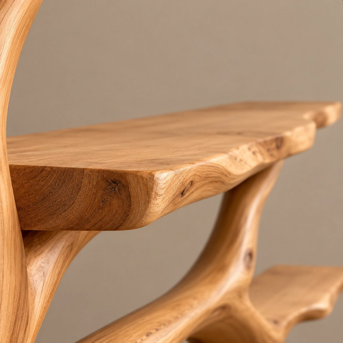 Contemporary Wall Tree Bookshelf With Wide Branch Span For Living Room