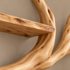 Modern Floating Tree Bookshelf With Arched Branch Shelves For Living Room