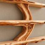 Live Edge Tree Bookshelf With Natural Branch Shelves For Living Room