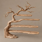 Minimalist Driftwood Tree Bookshelf With Sculpted Branch Form